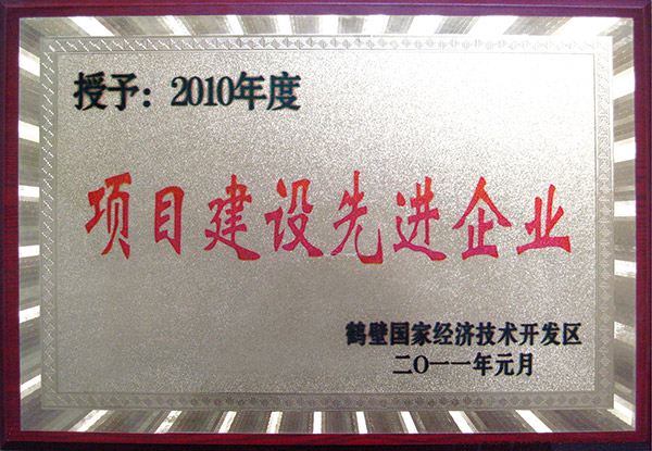 項目建設先進企業(yè)